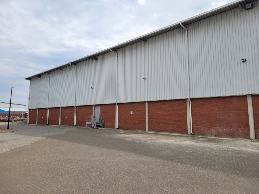 To Let Commercial Property for Rent in Epping Industrial Western Cape